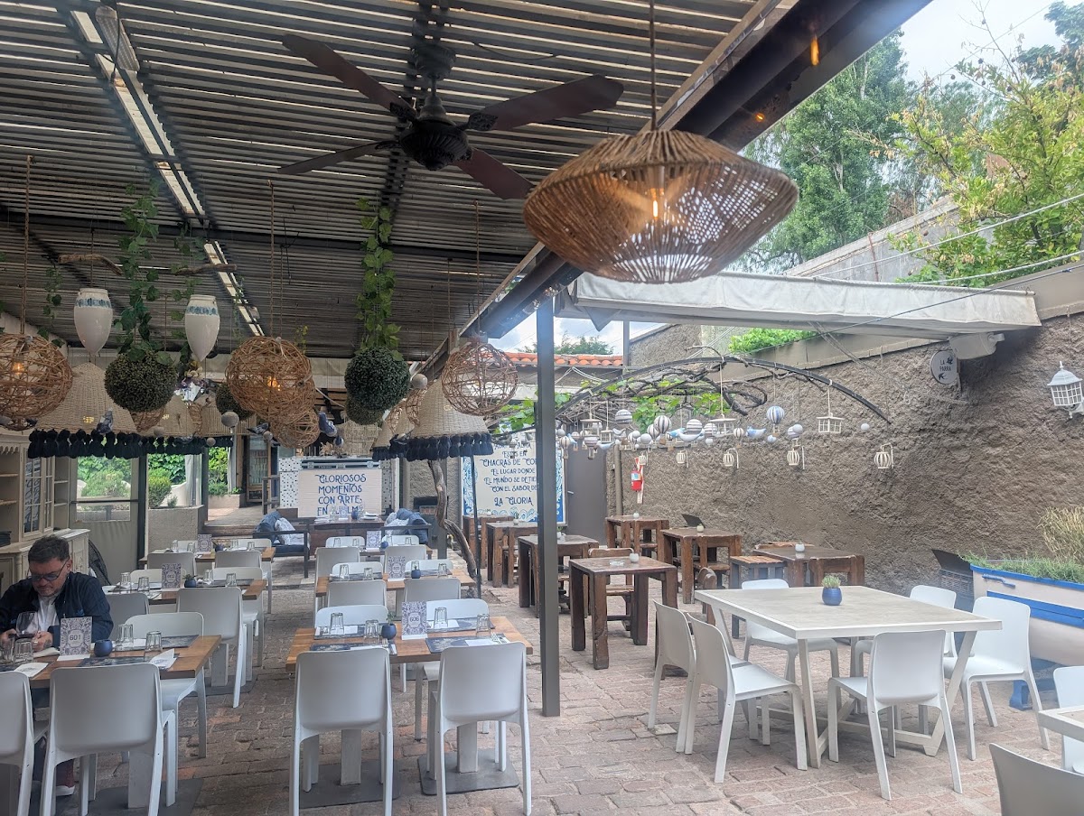 La Gloria Cantina Cool-3