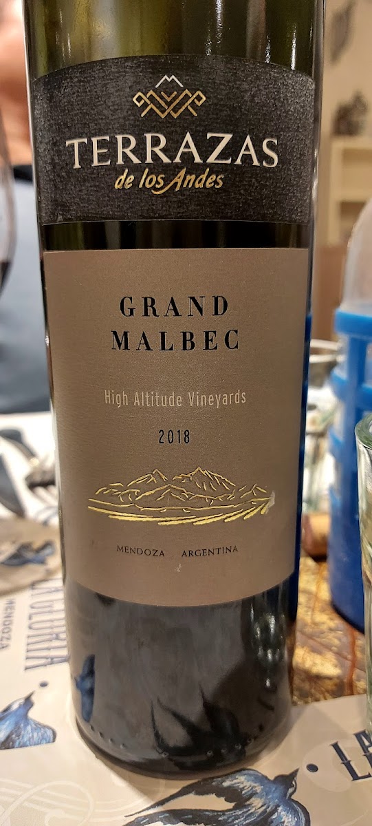 La Gloria Cantina Cool-5